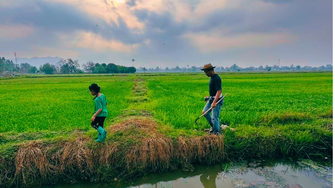 Organic food production space