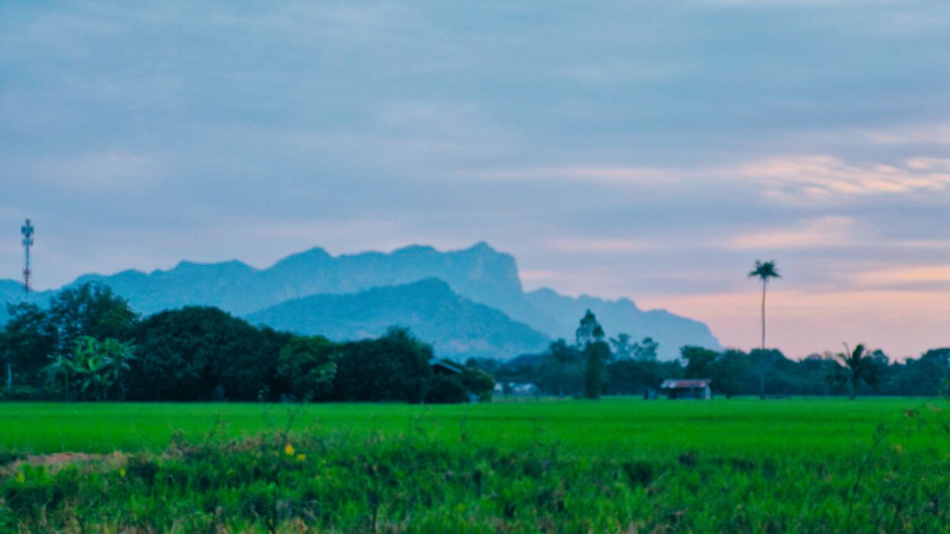 ONNI ORGANIC FARMSTAY