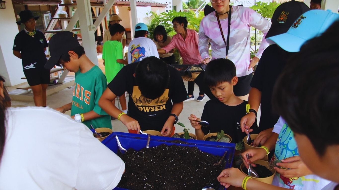 Cactus miniature garden